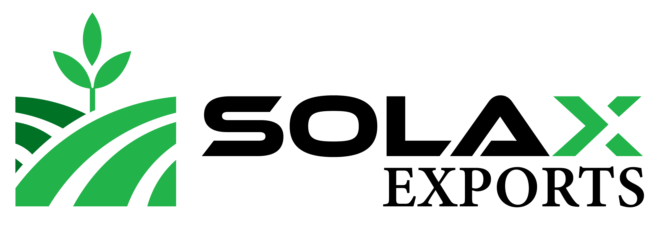 Solax Agro Foods Logo